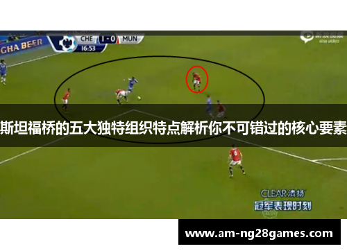 斯坦福桥的五大独特组织特点解析你不可错过的核心要素