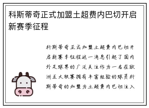 科斯蒂奇正式加盟土超费内巴切开启新赛季征程
